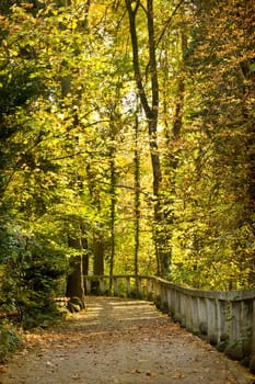 Vintage photo of curving road in autumn park