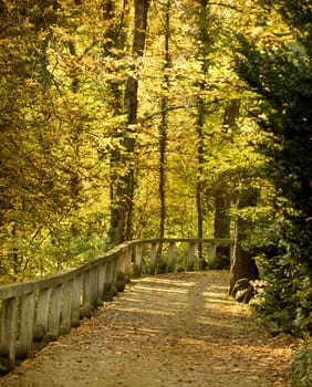 Vintage photo of curving road in autumn park