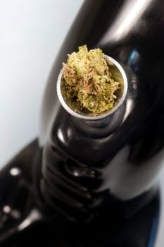 marijuana  medicine  cannabis  green  plant  leaf  weed  medicinal  illegal  drug  herb  hemp  narcotic  culture  grass  symbol  medical  ganja  agriculture  pot  smoke  reefer  growth  indica  sativa  isolated  nature  addiction  chronic  skunk  jamaica  herbal  crop  sat iva  foliage  background  macro  hydro  kush  intoxicant  white  botany  legal  dope  bud  surface  textured  fiber  bowl  bong  smoking device  water pipe