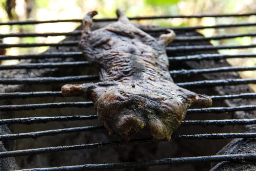 mole grilled for food later on the grille