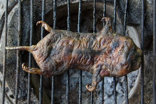 mole grilled for food later on the grille