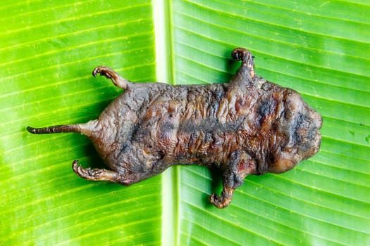 mole grilled for food later on banana leaf