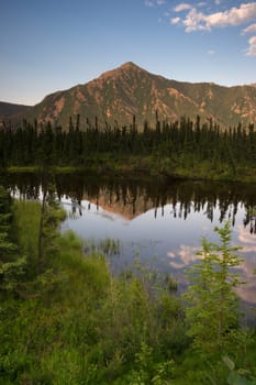 Wildlife moves in the smooth water in Alaska