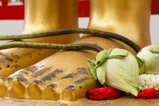The Lotus on feet of buddha in temple , thailand