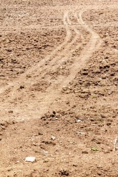 the road in cassava garden on the hill
