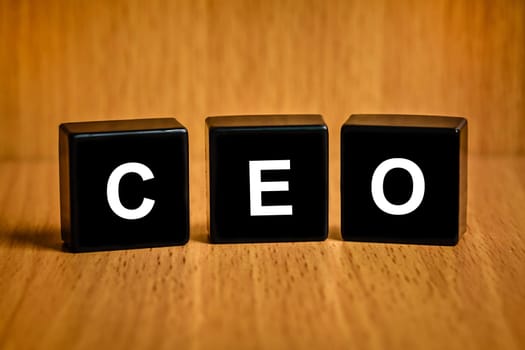 CEO or chief executive officer text on black block