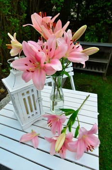 pink lily garden spring shabby chic