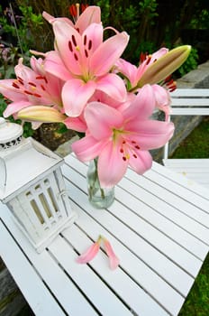 pink lily garden spring shabby chic