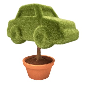 Car tree growing inside a vase overwhite. Clipping path included.
