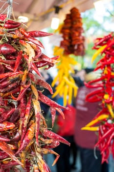 Detail of dried red chilly bunch