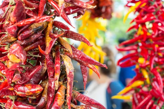Detail of dried red chilly bunch