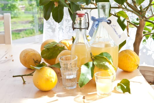 Homemade limoncello made from fresh organic lemons in small bottles