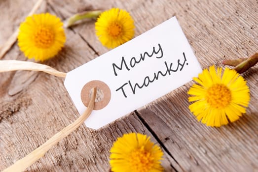 White Banner with Many Thanks and Yellow Flowers