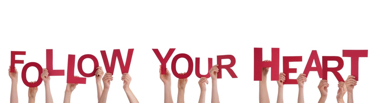 Many Hands Holding the red Words Follow Your Heart