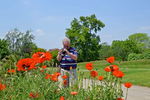 the flower photographer