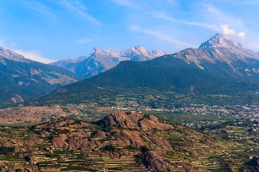 The vines of Valais
