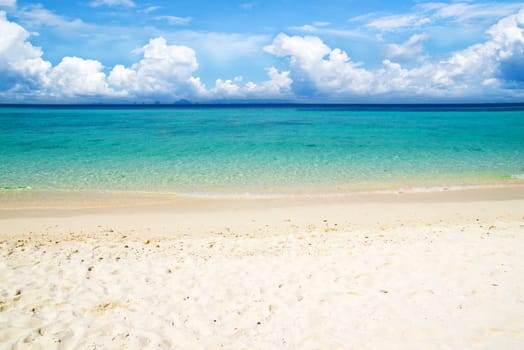 beautiful beach and tropical sea