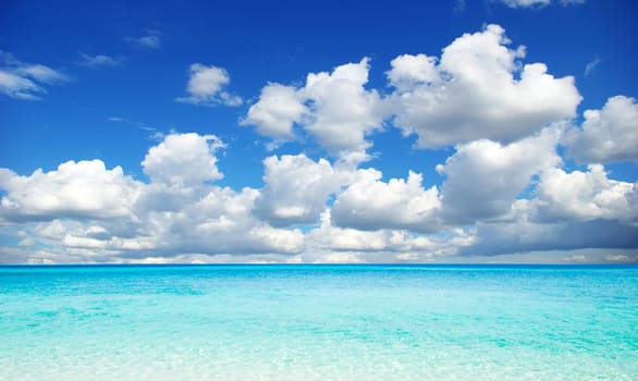 beautiful beach and tropical sea