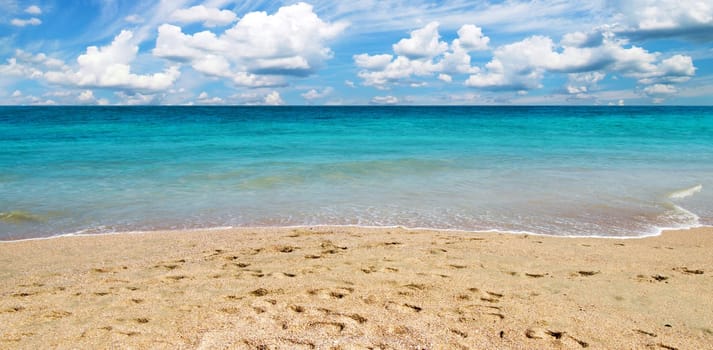 beautiful beach and tropical sea