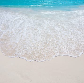 beautiful beach and tropical sea