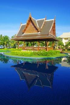 swimming pool with coconut tree and white umbrella