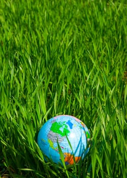 Earth  globe in hte grass
