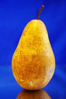 yellow pear isolated over blue