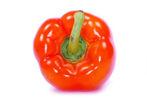 pepper isolated on a white background