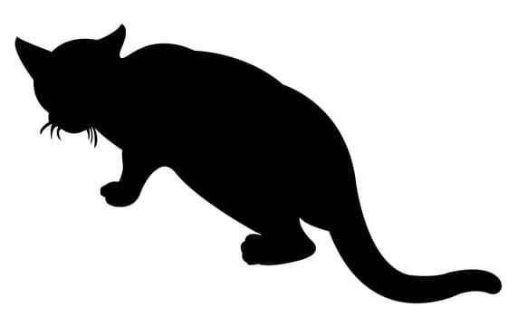 a cat silhouette vector