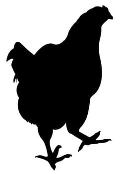 a chicken silhouette vector