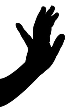 lady hand silhouette vector
