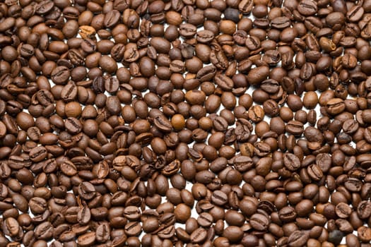 Closeup of roasted coffee beans. Full frame.