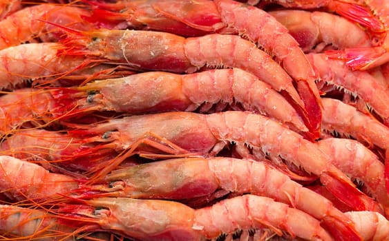 A bed of fresh prawns on ice at the fishmongers.