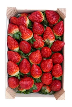 Strawberries in a wooden box. View from above. Isolate on white.
