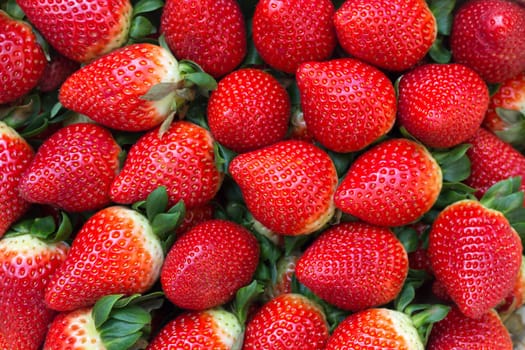 Fresh Ripe Perfect Strawberries Full Frame Background