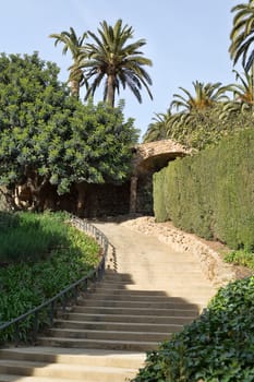 Stairs in the green palms and partially in the shade.
