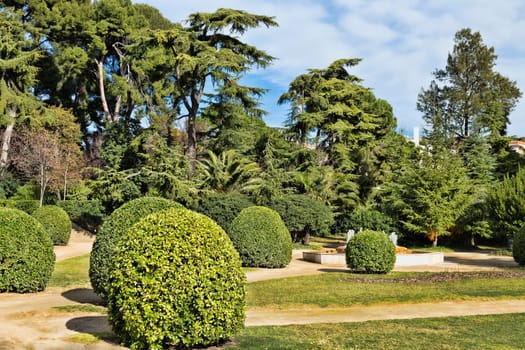 Peaceful Green Garden with a Freshly Mown Grass Lawn.