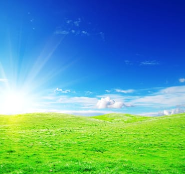 green field and blue sky
