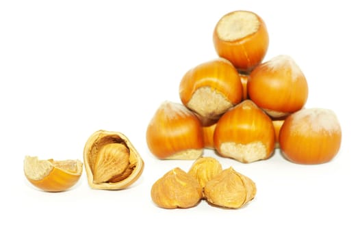 Much hazelnuts isolated on white