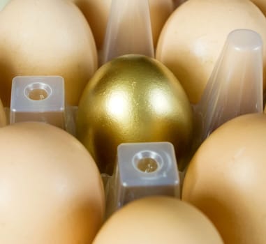 Gold egg between yellow . business  concept