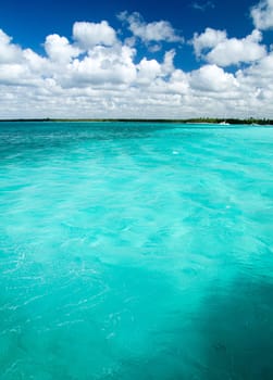 tropical sea under the blue sky