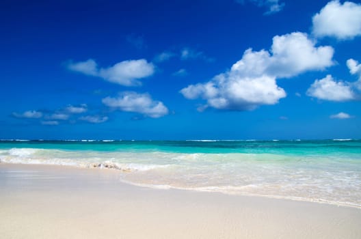 tropical sea under the blue sky