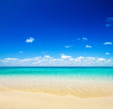beautiful beach and tropical sea