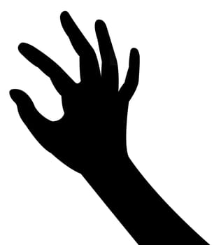 lady hand silhouette vector