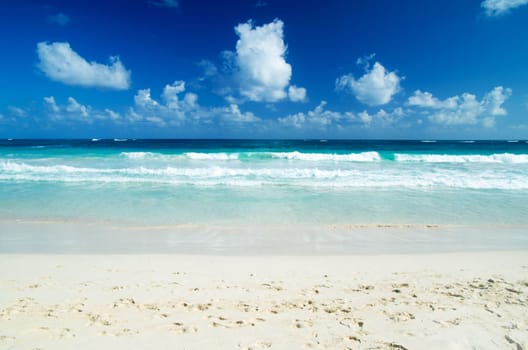 beautiful beach and tropical sea