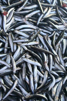 Fresh fish on display at market on sale