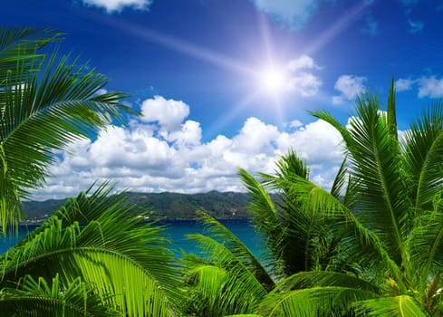 beautiful beach and tropical sea