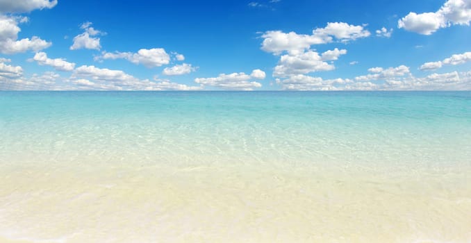 beautiful beach and tropical sea