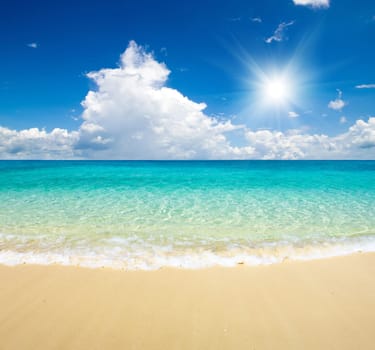 beautiful beach and tropical sea
