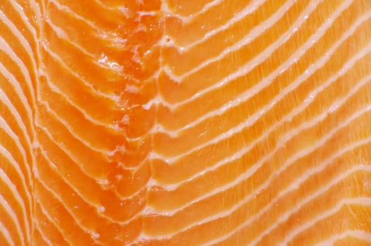 background salmon steak red fish